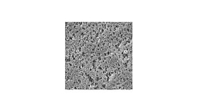 Нейлоновые мембранные фильтры арт. HNWP02500,  0,45 мкм, ⌀ 25 мм